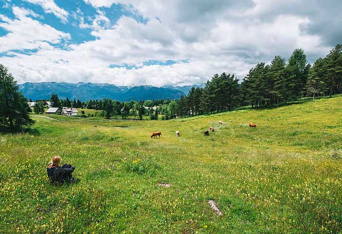 九型人格發(fā)展歷史