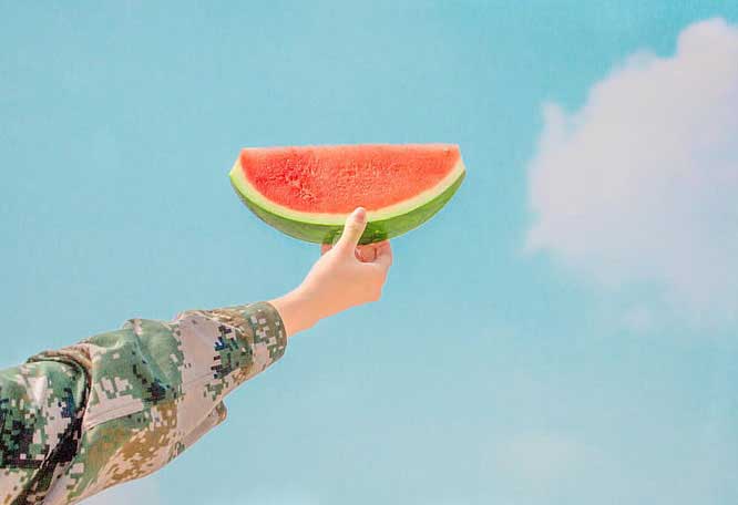 九型之旅的本能類型5天學習分享