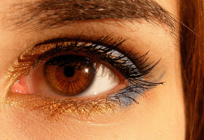 大學生怎么學習九型人格？