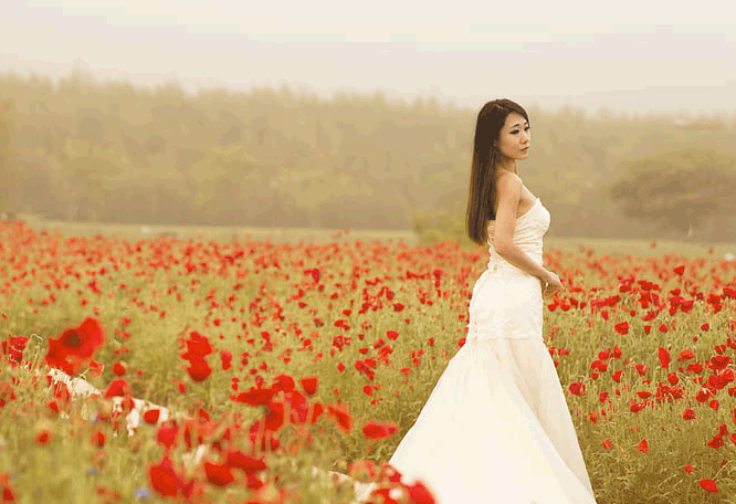 海倫帕爾默 九型人格副型篇（建議收藏）