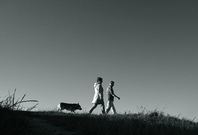 給第八型人的建議