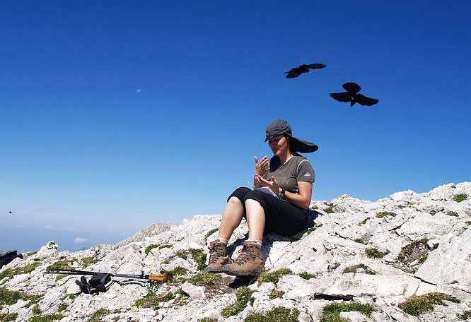 九型人格5號探索者人格結構及成長之道2