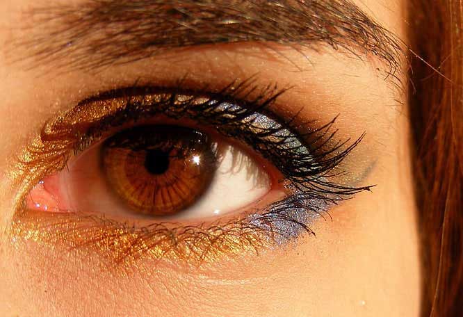 不是理所應當的嗎?大王要違背祖宗遺訓么?