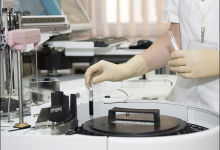 破解4號人格的成功密碼