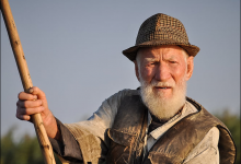 【如何管理5號下屬】享受獨立，排斥權威干涉&多放手，勤咨詢