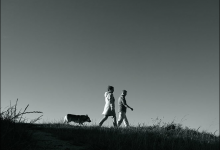 2號營銷<需要特權>