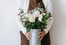 ?5號的思維方式：探究事物本質