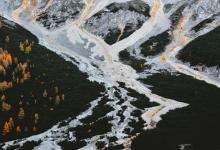 ? 5號的行為特質