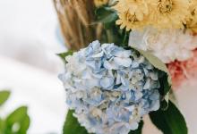 ?6號的行為特質