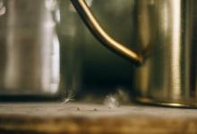 ?激發7號的要點：