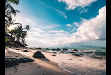 ?激發(fā)8號的要點：