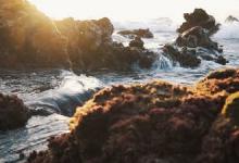 核心價(jià)值觀：我思故我在