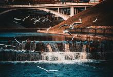 【7號故事】蘇軾： 不可救藥的樂天派