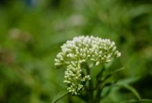 九型人格在團隊中的作用