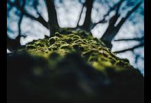 性格決定銷售風格