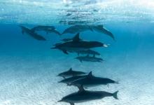 與九型配偶的相處技巧----6號