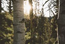 【與九型人的交談技巧】與 5?號的交談技巧