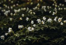 【與九型人的交談技巧】與2號的交談技巧