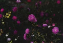 【與他人溝通時(shí)的注意要點(diǎn)】9號(hào)