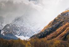九型人格之飲食健康