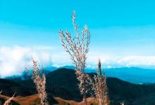 八種讓我們屈服的致命心理偏差