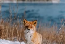 解析電影中的 5 號(hào)人格