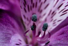 破解 5 號(hào) 人格的成功密碼