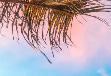 與 5 號相處金律：興趣引導(dǎo)一切