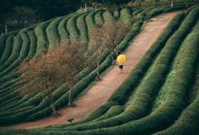 5 號觀察型客戶的破解之道：破氣式