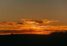 【5號】如何應對和平型客戶