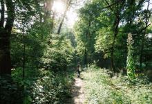 7 號人格的經典人物