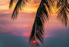 【8號營銷】如何應(yīng)對實干型客戶