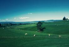 【7號營銷】如何應(yīng)對感覺型客戶