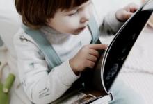 如何與 8 號型人相處