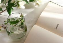 8 號人格的經典人物