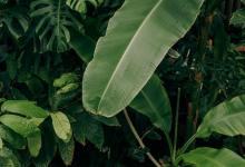 【連接點】2號連接4號、8號