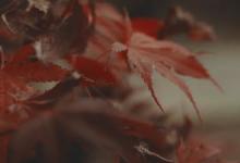 【連接點】1號一 連接4號、7號