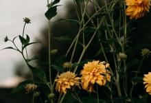 【連接點】3號連接6號、9號