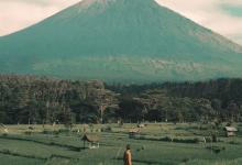 探索副型領(lǐng)地