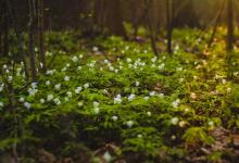 自我保存副型----8 號