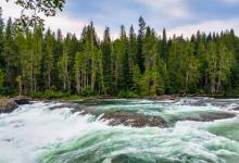 自我保存副型----9號