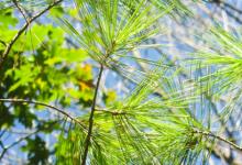 “鏡”面反射：多角度探索九型人格