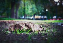 社交副型----3號