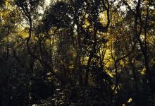 社交副型----7號