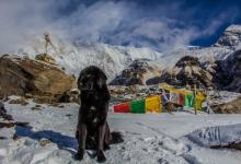 社交副型----2號