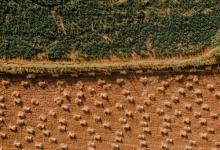 【序章】你是天使，也是魔鬼（3）