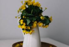 關于領導力，你不可不知的那些事兒