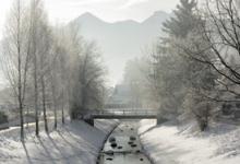 5號的安全和危險