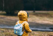 第五章5號性格—一觀察者