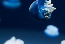 第七章7號性格享樂主義者